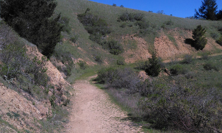 Chemin dans les montagnes de Spirit Rock, un centre de retraite en Californie