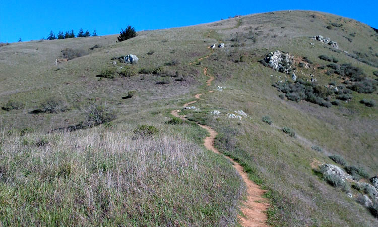 Chemin dans les montagnes de Spirit Rock, un centre de retraite en Californie