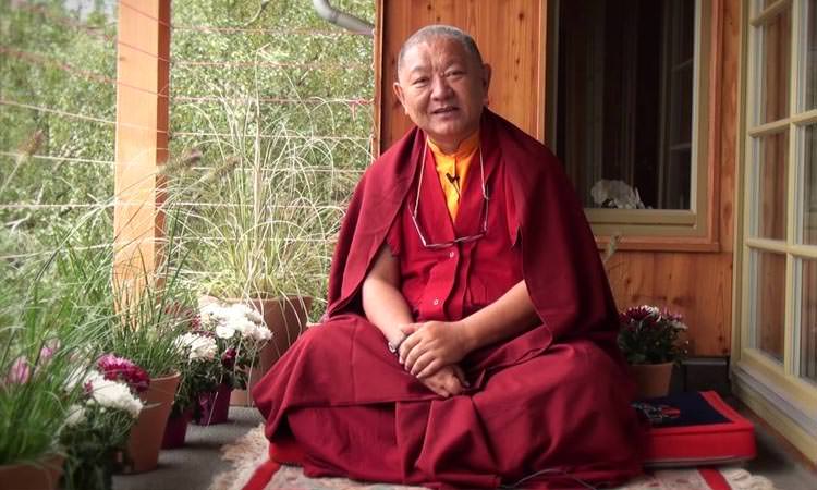 Séminaire BOUDDHISME ET MEDECINE au Lérab Ling - Ringu Tulku Rinpoché