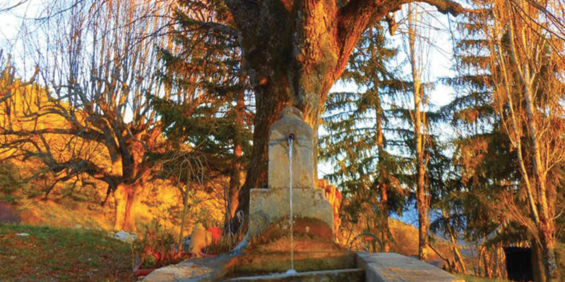 Arbre à Spirales, centre de ressourcement et de bien-être