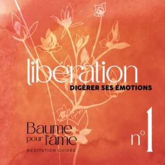 N°1 - Libération - Digérer ses émotions - Baume pour l'âme