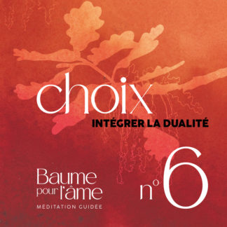 N°6 - Choix - Intégrer la dualité - Baume pour l'âme