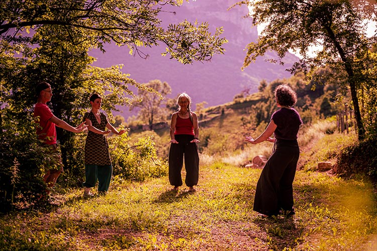 Cours de Qi gong hebdomadaires Valence