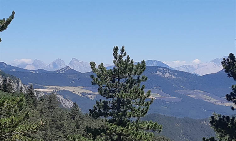 Une retraite en pleine nature dans la Drôme provençale. Méditation, qigong et pleine conscience. Pour les femmes.