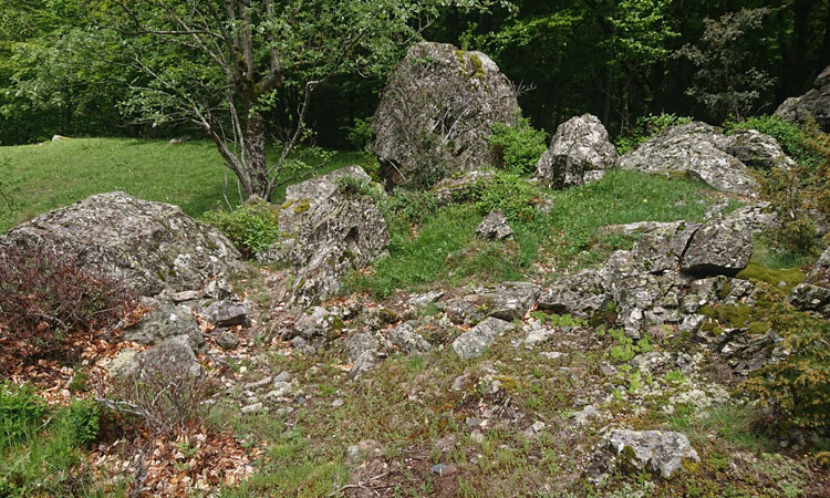 Méditer en pleine nature