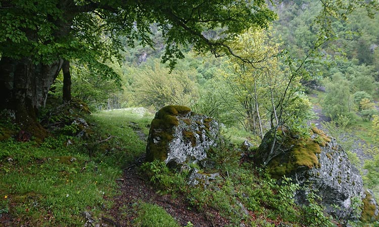 Un stage inédit de méditation au cœur des montagnes
