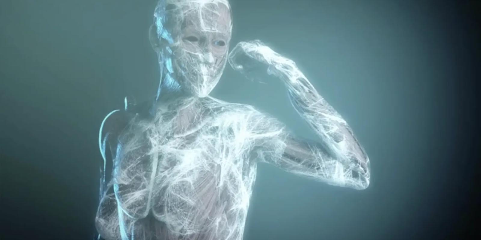 Les fascias comme une trame continue qui relie les différentes parties du corps entre elles.