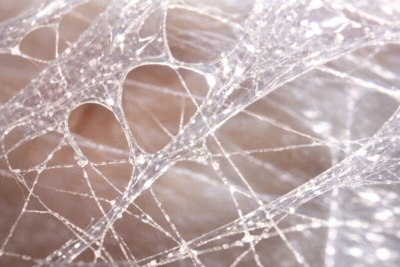 Réseau de fibres translucides évoquant la trame légère et souple de nos fascias