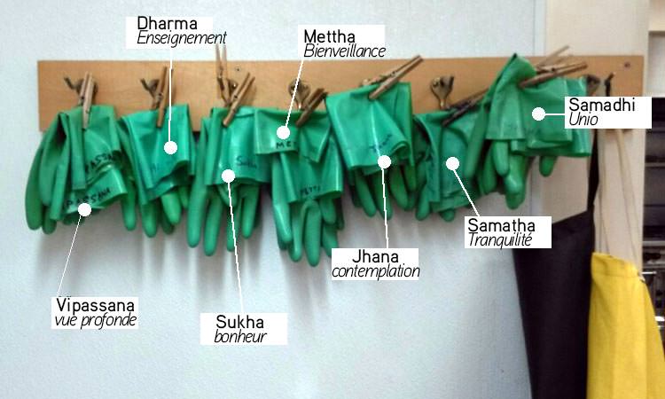 Série de gants de vaisselle verts accrochés au mur