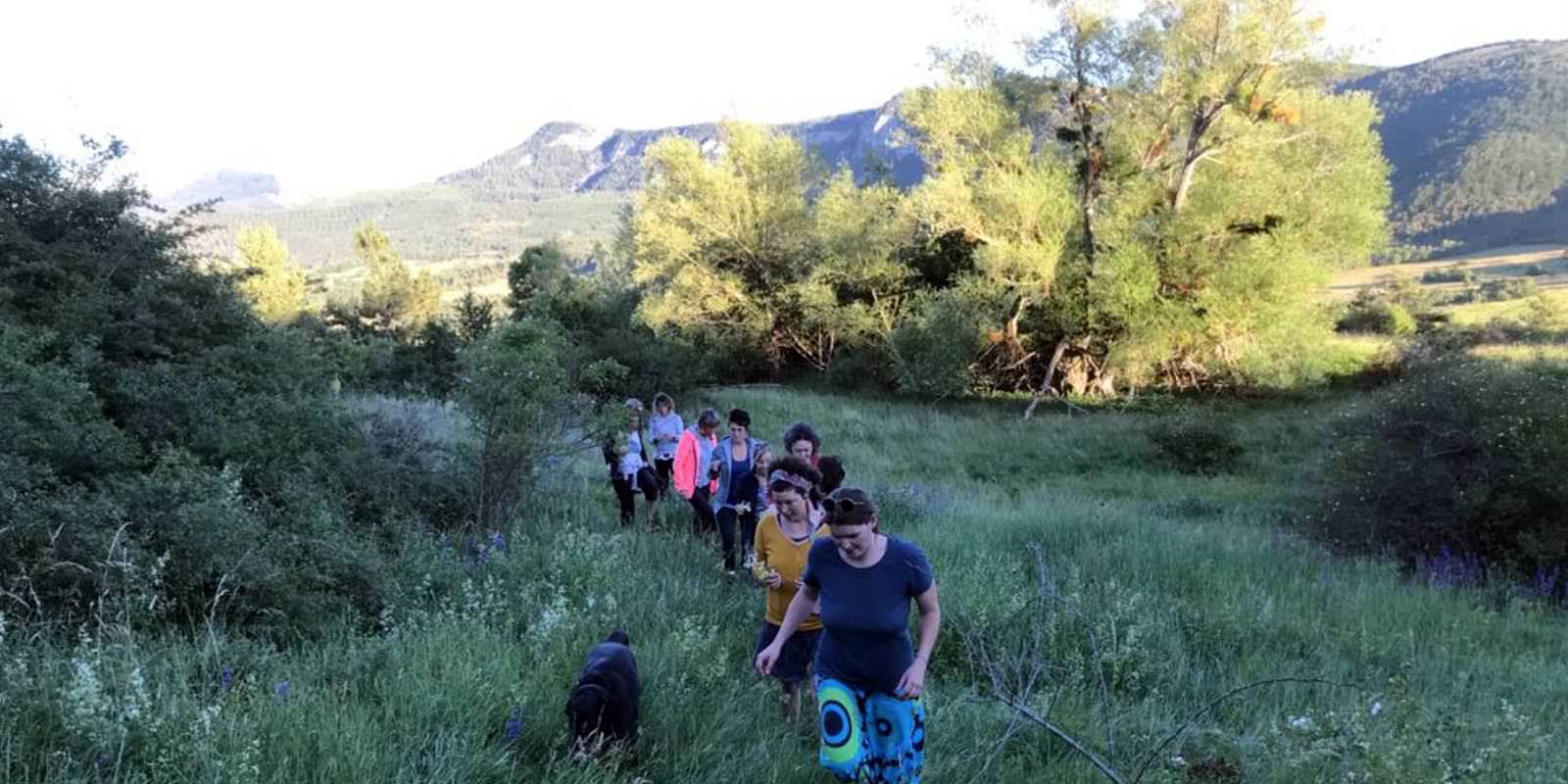 Faire une retraite de méditation dans la Drôme, retour d’expérience sur une retraite en pleine conscience