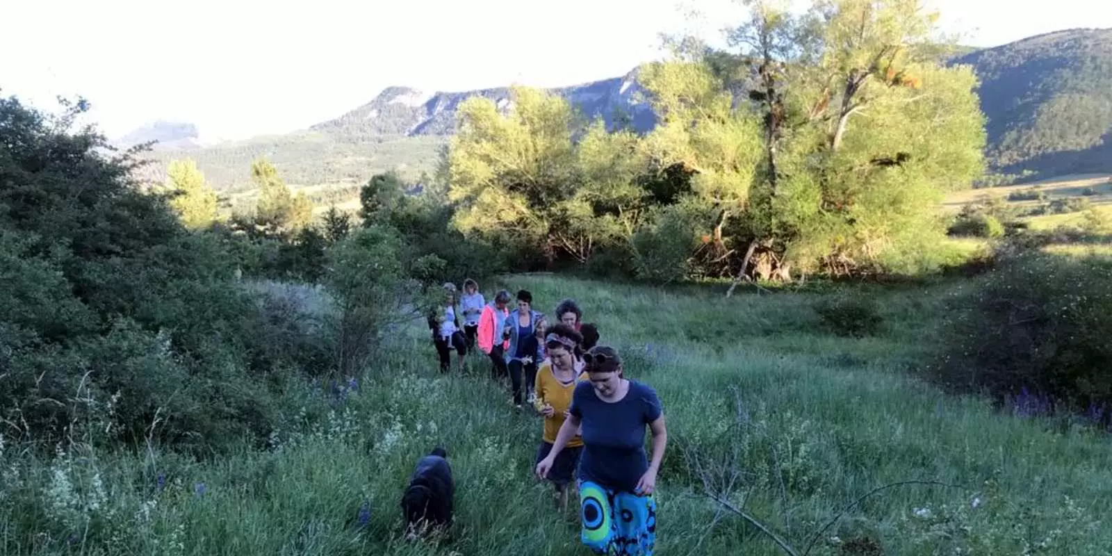 Groupe cheminant dans la nature en Drôme