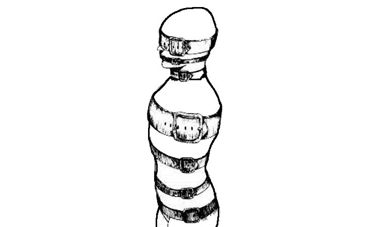 Illustration représentant les cuirasses du corps