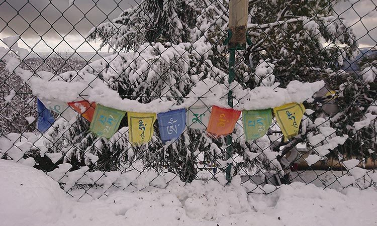 Drapeaux de prières accrochés sur un grillage sous la neige