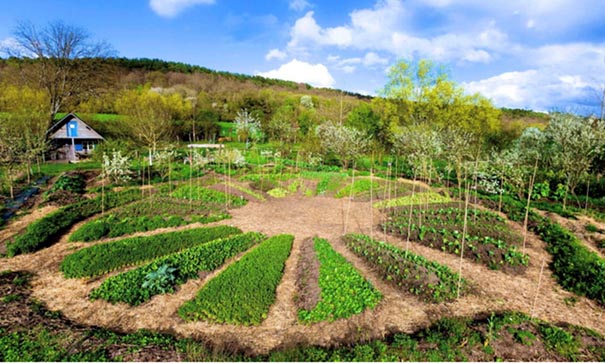 Jardin en forme de mandala