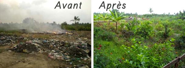 Avant / Après