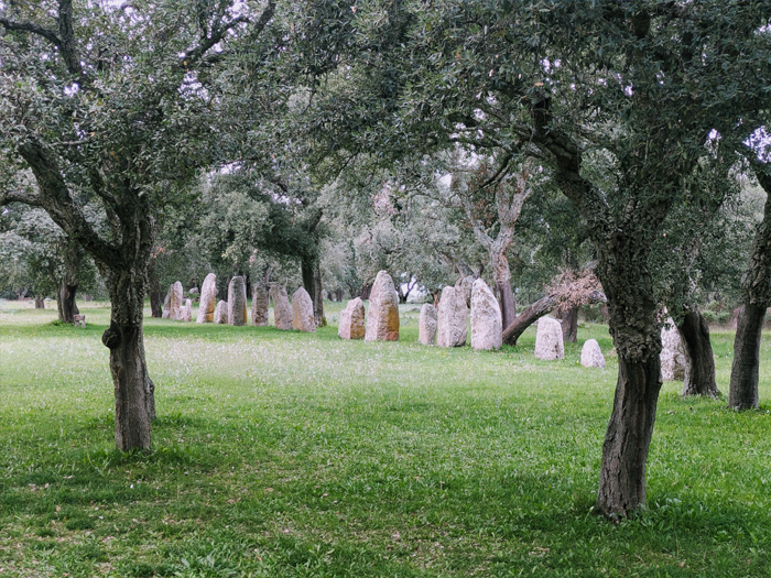 Dolmen pierres sacrées dressées sous des arbres