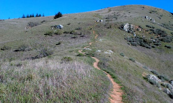 Paysage aride des sentiers autour de Spirit Rock aux USA