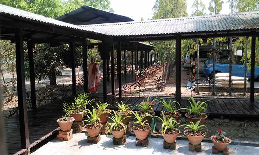 Plantes vertes dans des petits pots en terre cuite coniques alignés et posés sur des briques au monastère Shwe Ooh Min