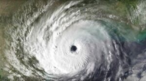 Spirale dans le vivant